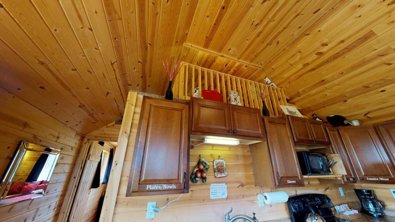 White Pine Cabin By Canyonlands Lodging Monticello Extérieur photo