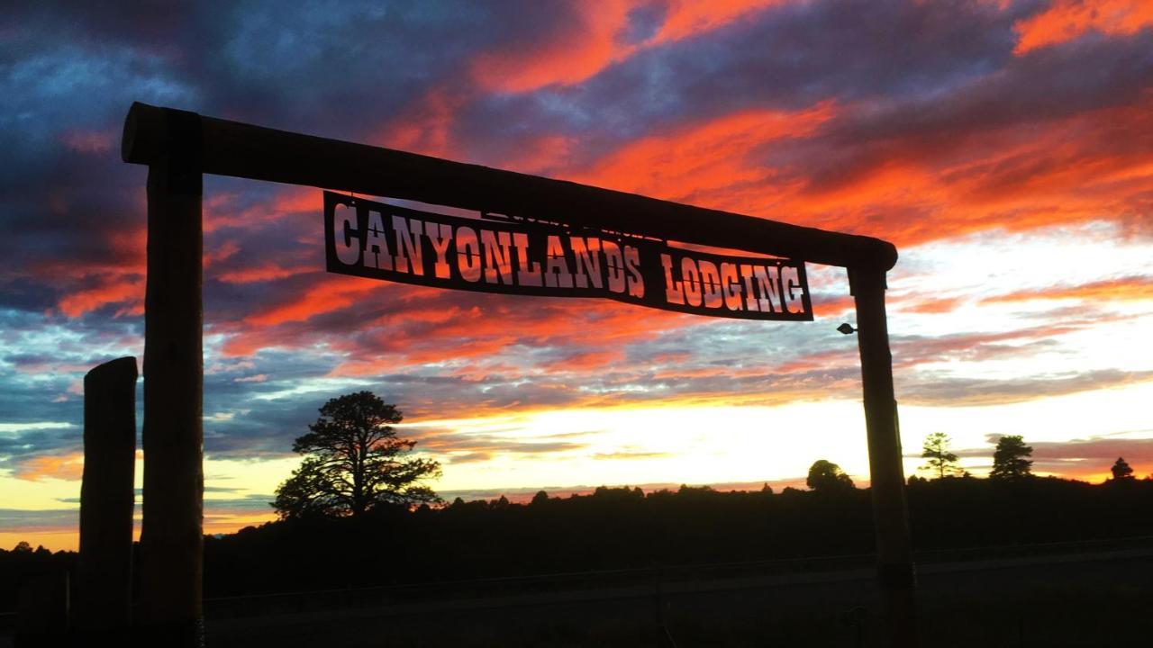 White Pine Cabin By Canyonlands Lodging Monticello Extérieur photo
